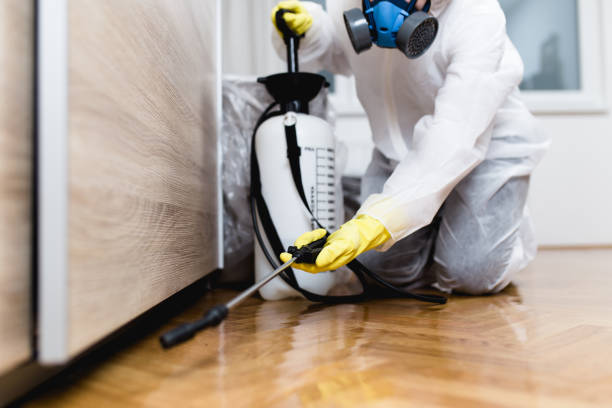 Best Exterminator Services  in Republic, WA