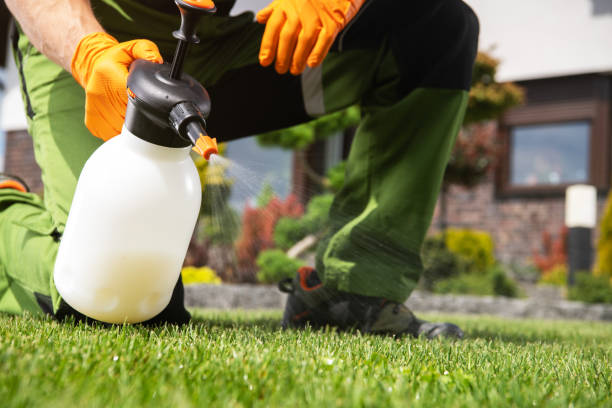 Best Insect Control  in Republic, WA
