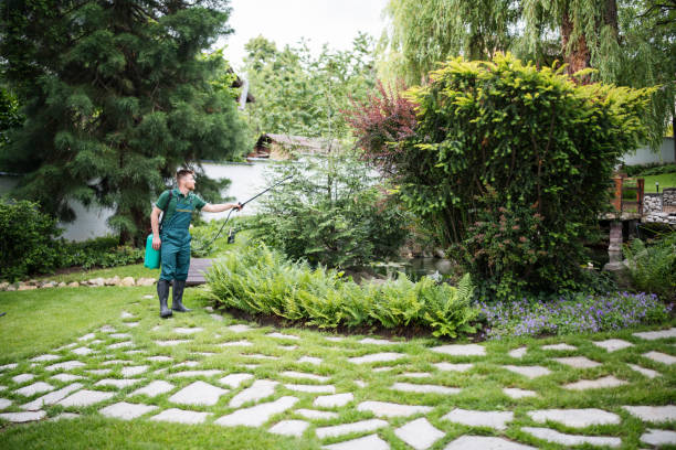 Best Ant Control Services  in Republic, WA