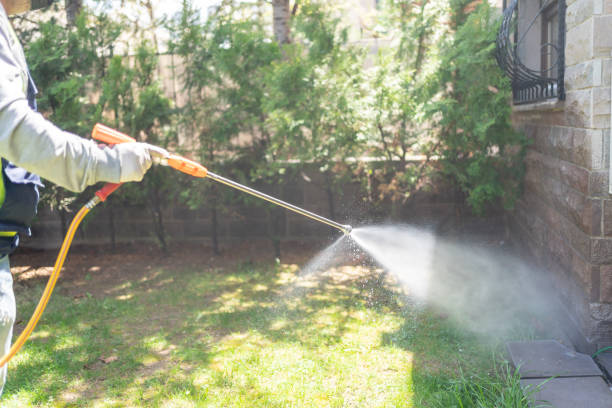 Best Best Pest Control Companies  in Republic, WA