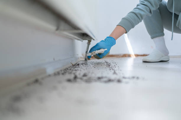 Best Pest Control Near Me  in Republic, WA